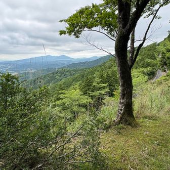 奥は愛鷹山