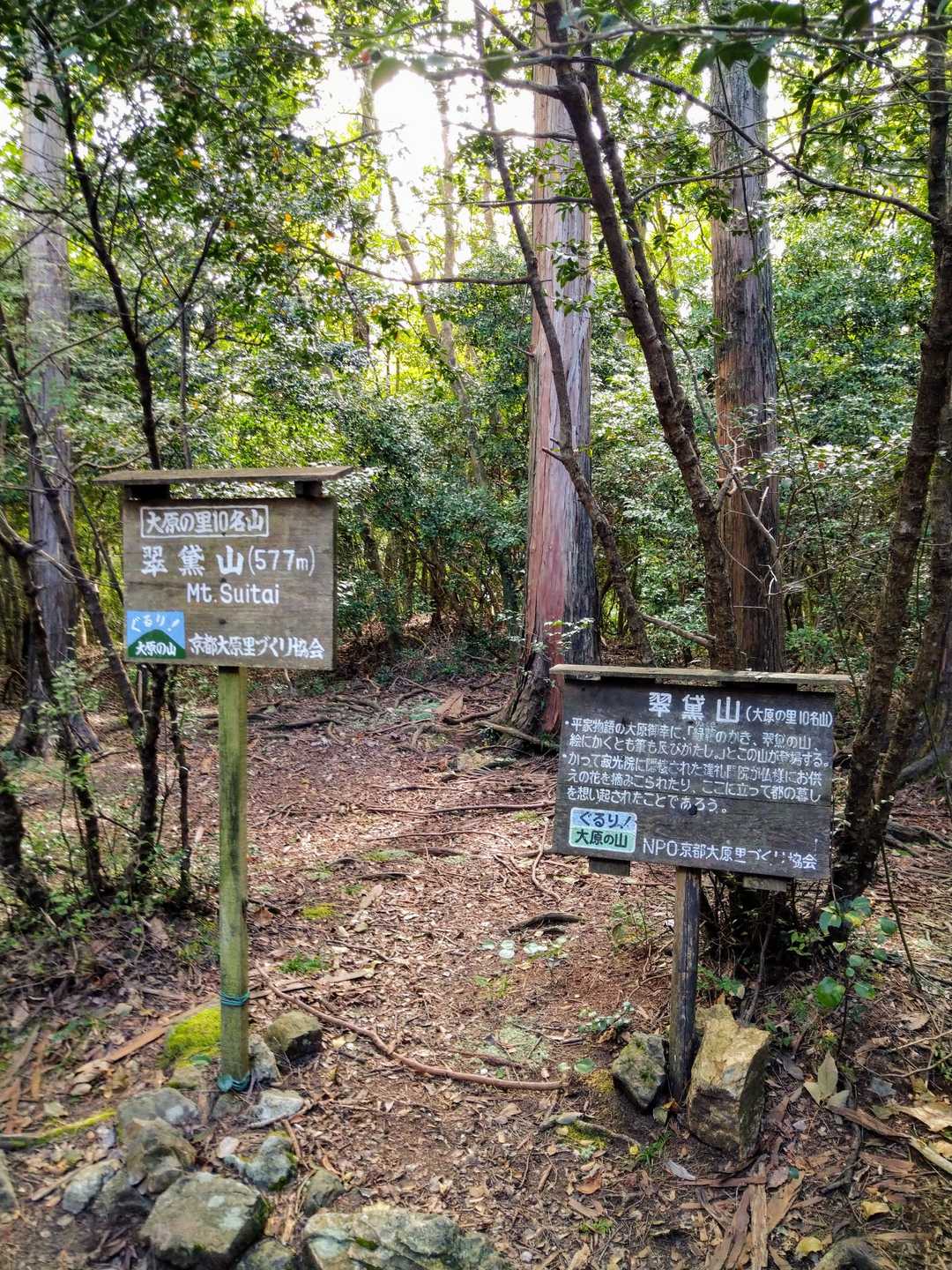 翆黛山到着☺️👐展望なし