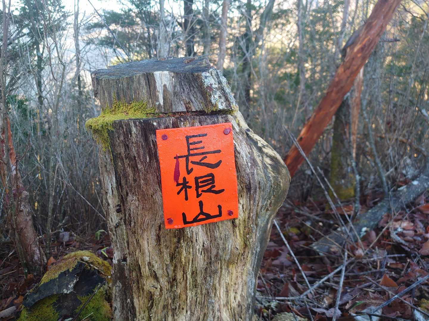 ホイッ長根山🙆