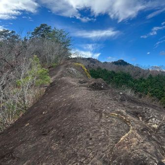 崖の上を歩いてゆく…