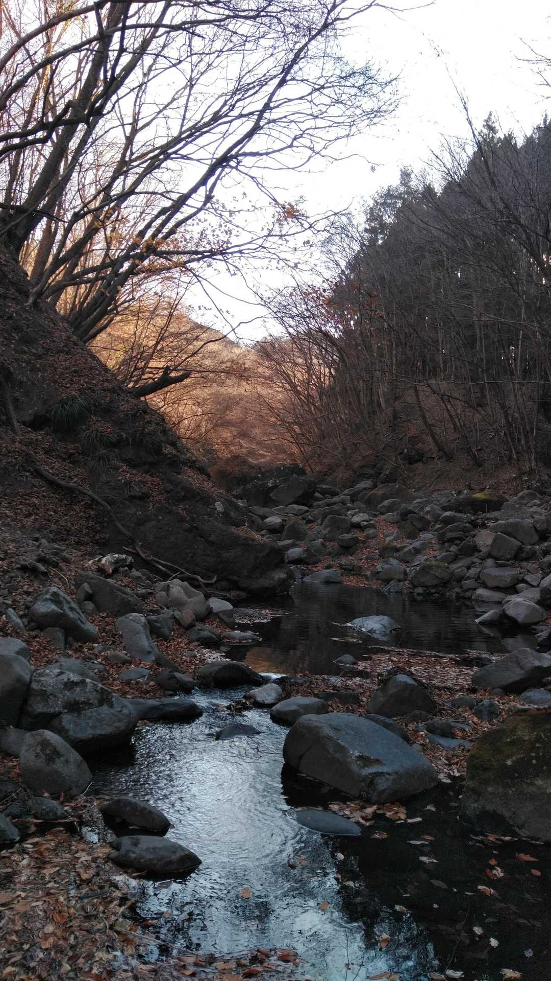 裏妙義のもみじ谷 往復コースの写真