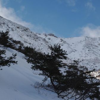 スノーシューのトレース消えた。
岳温泉の源泉を確認に来られた方達のトレースでした。
