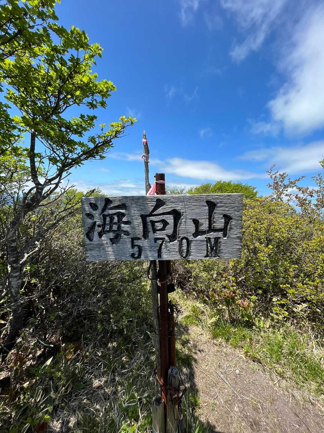 権現堂入口-海向山登山道入口-海向山 往復コースの写真