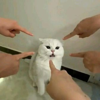 kuge
