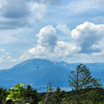 伊吹山⛰️琵琶湖を見えたよ☝

ここで今まで無風だったのに西川貴教さんが来てくれた⁉️
西風が吹き始めたよ🌬️

感極まり…HotLimit歌おう🕺

…え❓却下…やっぱり🤣