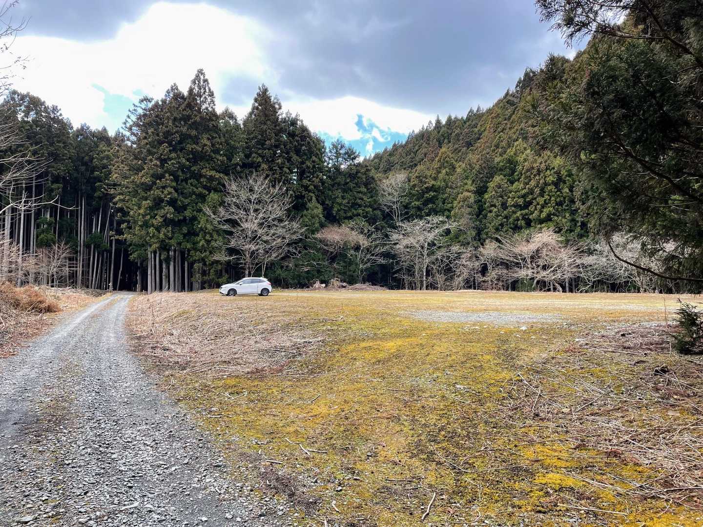 石投山 往復コースの写真