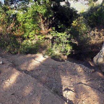 さっきの降り口より北側で一の丘に出た。
再び少し南下