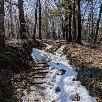 チェンスパはいらなかった