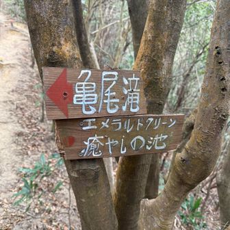 ココに辿り着くの多分がなり遠いい…
前回、辿り着く事が出来なかッた場所。。。

ベビの居ない冬にもう1度チャレンジしないと！

