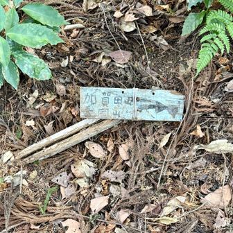 分かりづらい道に限って、道案内板が倒れて落ち葉🍂の上に落ちてました😂