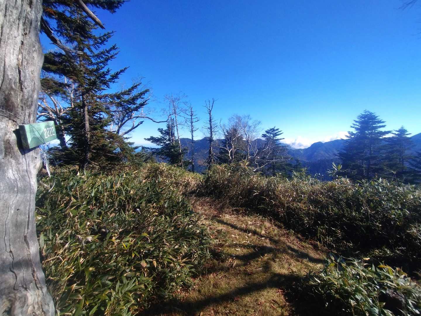 燕巣山　山頂広場到着
燕巣ブルー
日差しが暖かい～