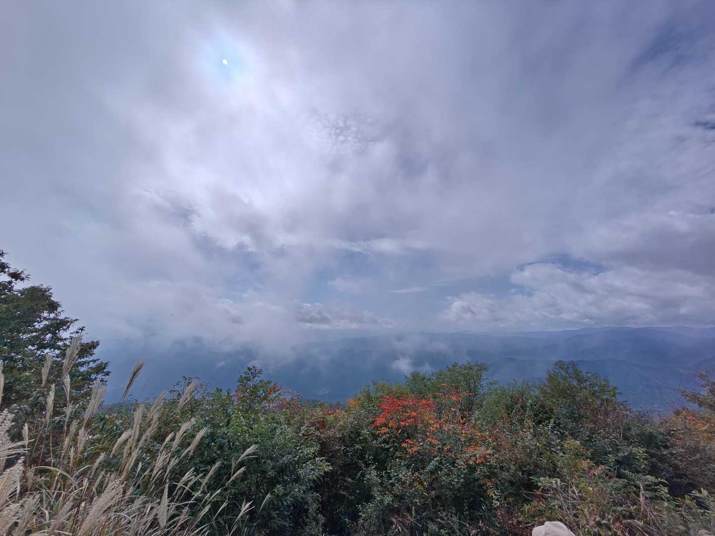 天気が良ければ富士山が見えるらしい😗☝️ちなみにすぐ山梨🍇