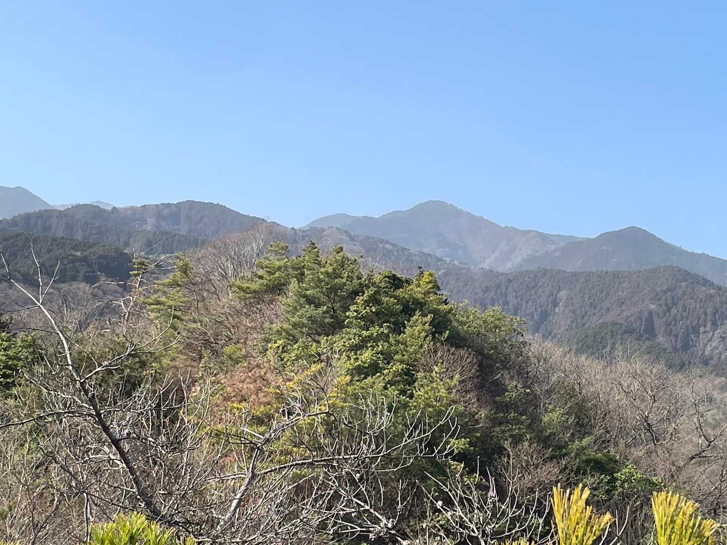 東三方が森🌳いつか登りたい。