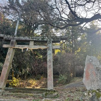 
菅原神社、愛宕神社に下山
白梅紅梅が咲いていた🌸
