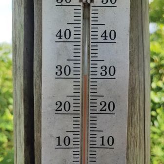 菊水山の山頂付近、本日は31℃。