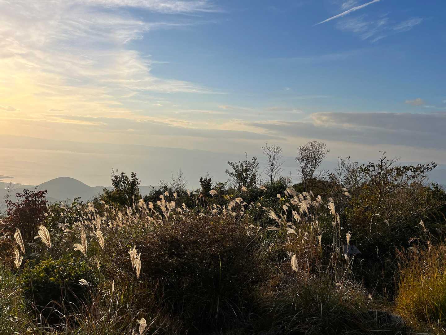 郡岳 往復コースの写真