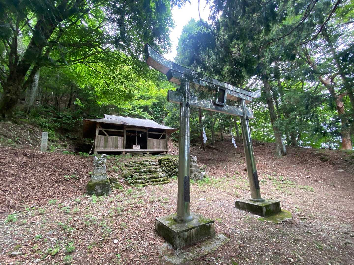 天行山-東宮山-富貴山 周回コースの写真