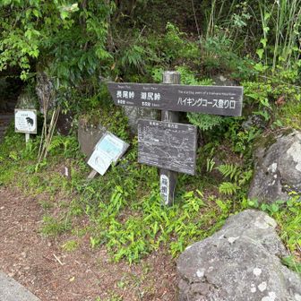本日の山行は終了。次回はここから再スタート。