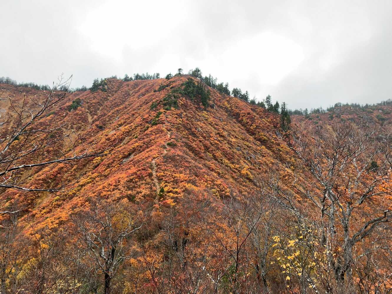 下台倉山の写真