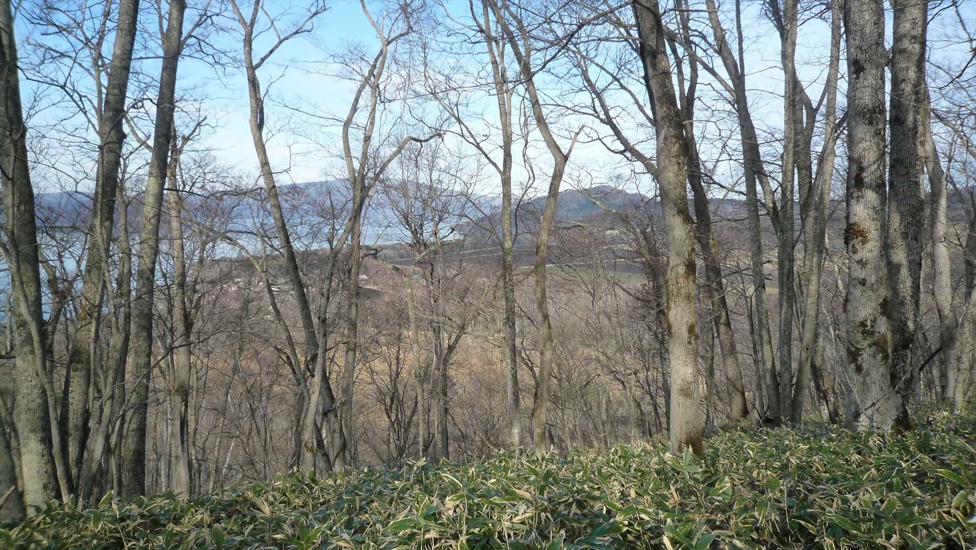 丸山頂上に到着　このピークに三角点はありません　藻琴山とトサモシベが見えました