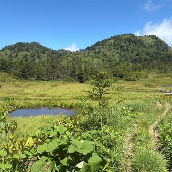 木道を歩き、東屋まで来て振り返ると、
左に志賀山、右に裏志賀山が見える。
裏志賀山から降りて来た。