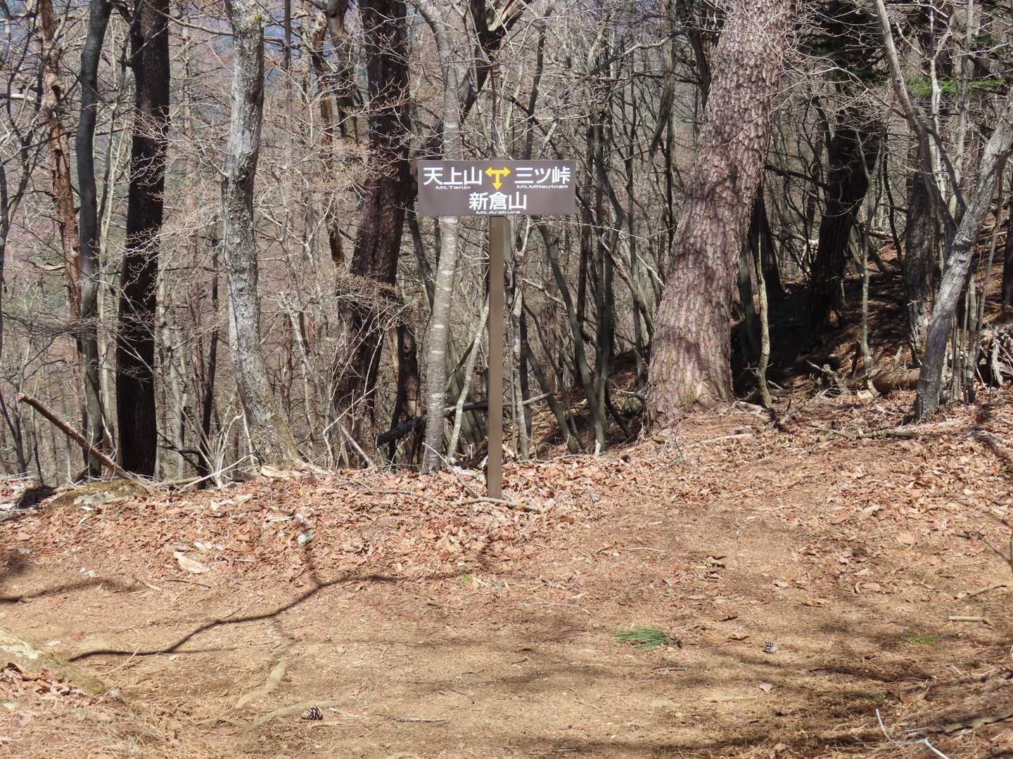 ようやく、天上山と三ツ峠を結ぶ稜線にでました！
私には三ツ峠へ登る体力はございません🙂‍↔️ｷｯﾊﾟﾘ
なので三ツ峠とは反対方向の天上山へ向かいました😅