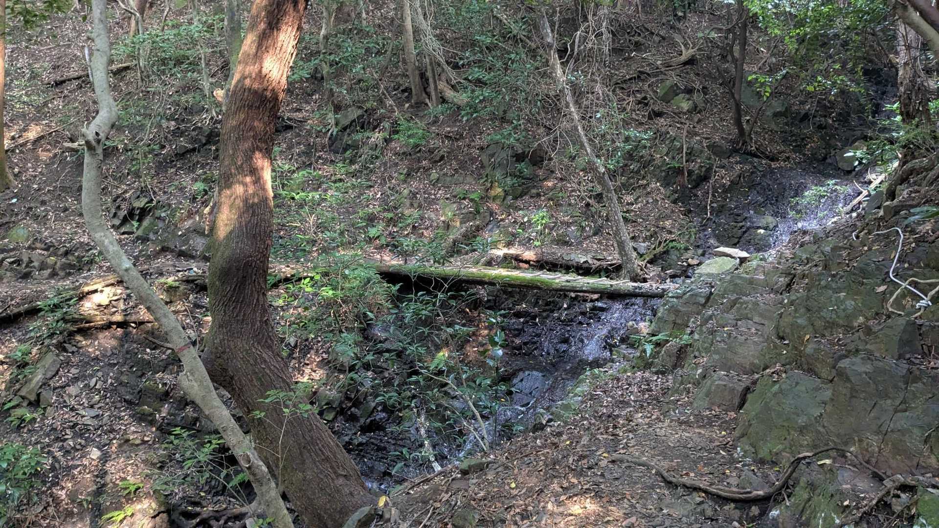 杉山橋🚶。