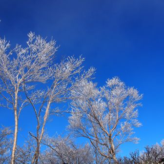 晴れだ、晴れてきたー✨