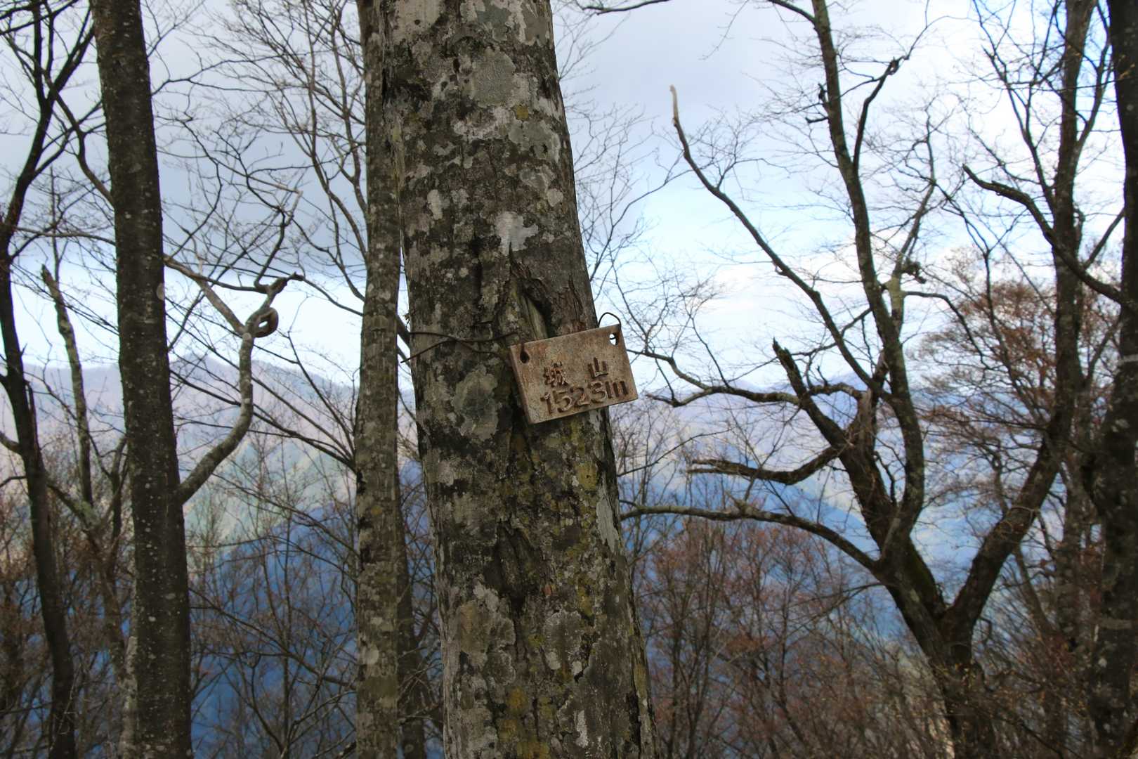 手の込んでる看板