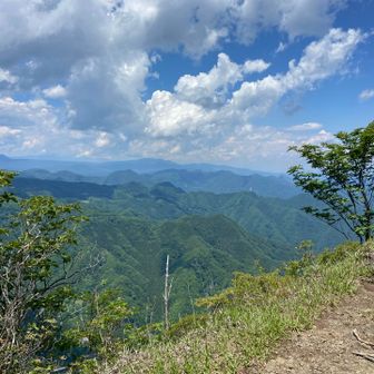この景色を見ながらお昼