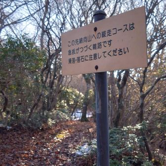 急登…。さほどでも無いです。2カ所ほどロープあったけど。