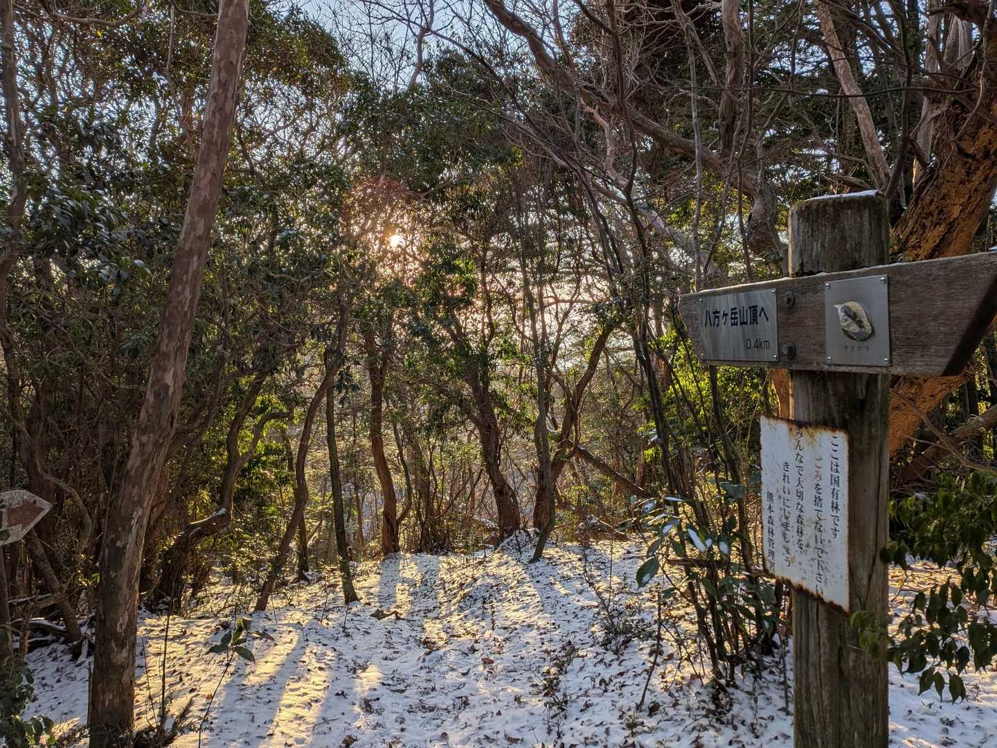 とかブツブツ…
作業着のおいさんが😅
分岐到達💨
コリャあ、イケたな😕