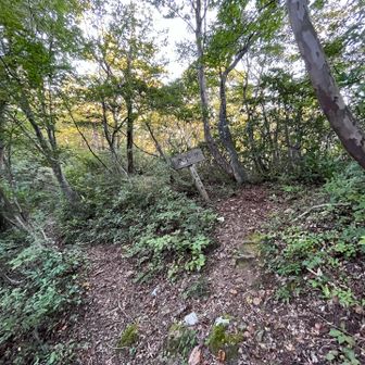 新道はまわり道、少し時間がかかる！😰