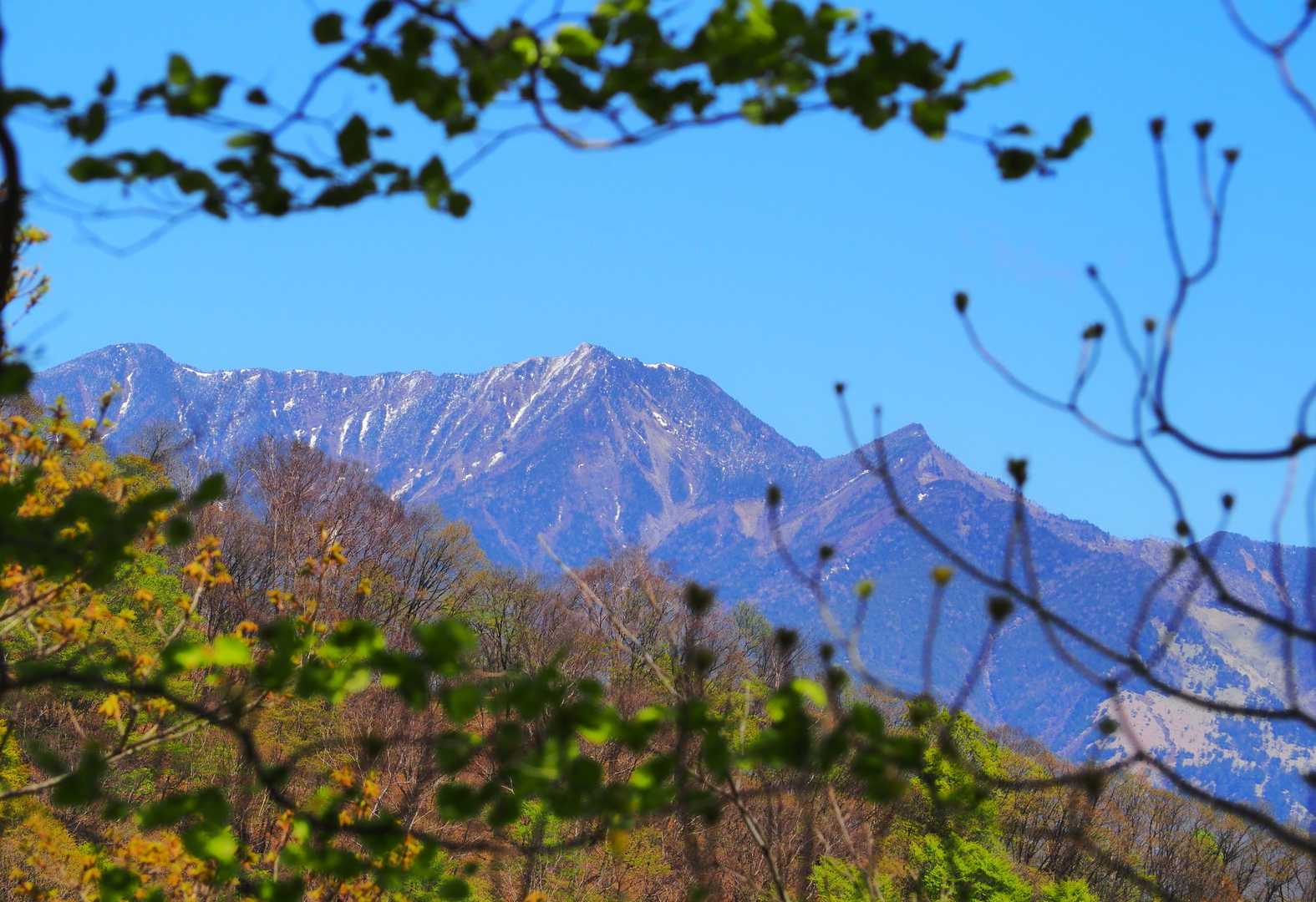 細尾峠-薬師岳-夕日岳 往復コースの写真