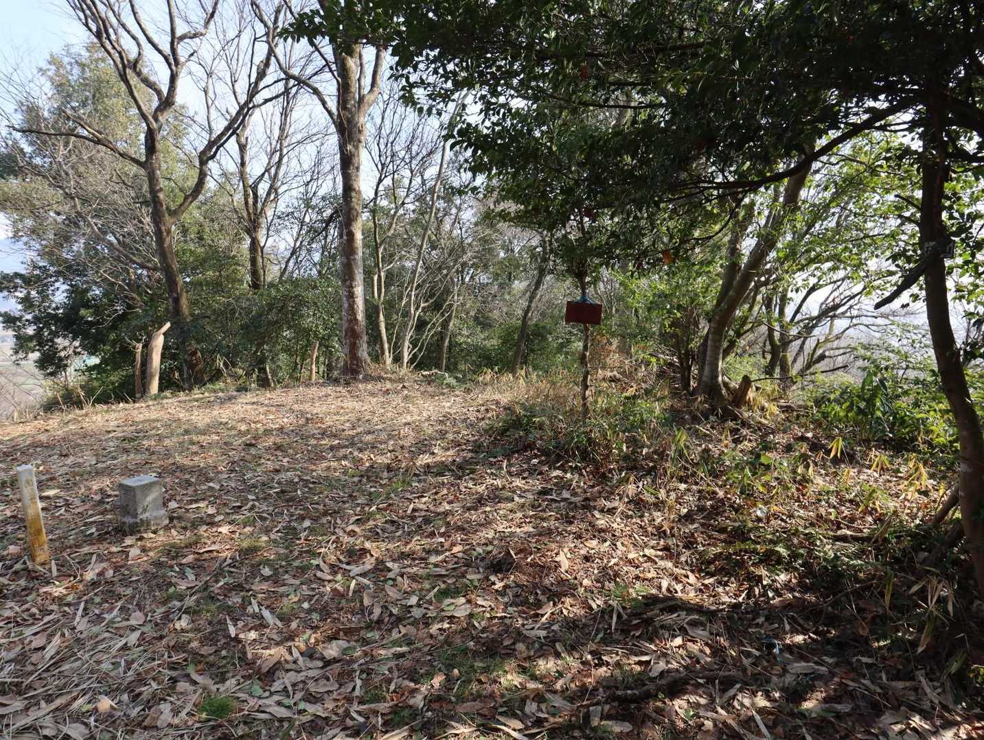 こんな山頂