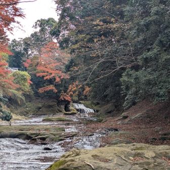 さらに上流までは行けず