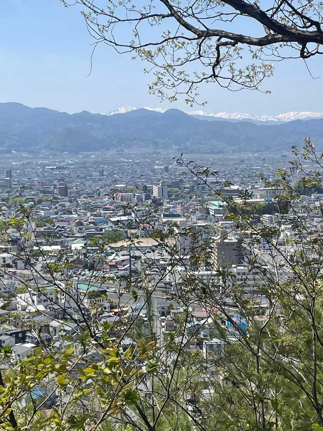 千歳山 往復コースの写真