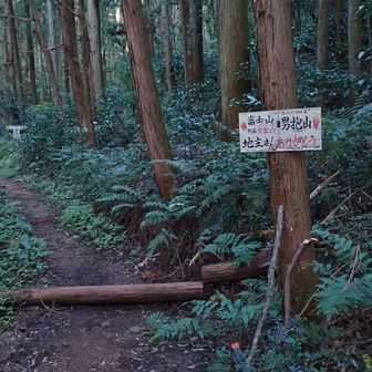 【分岐】ここは変わりませんね👍(倒木以外…)　今日は男抱山から👉
