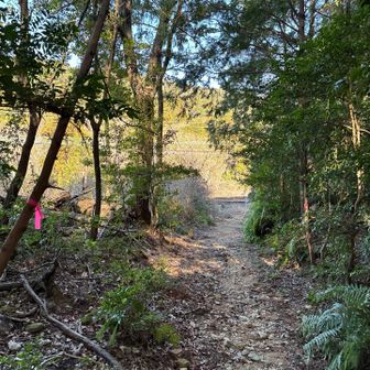 転げるように小走りで…
無事下山です😂