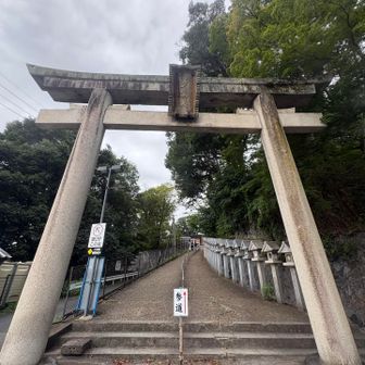 鳥居があったのでパシャリ〜⛩️
