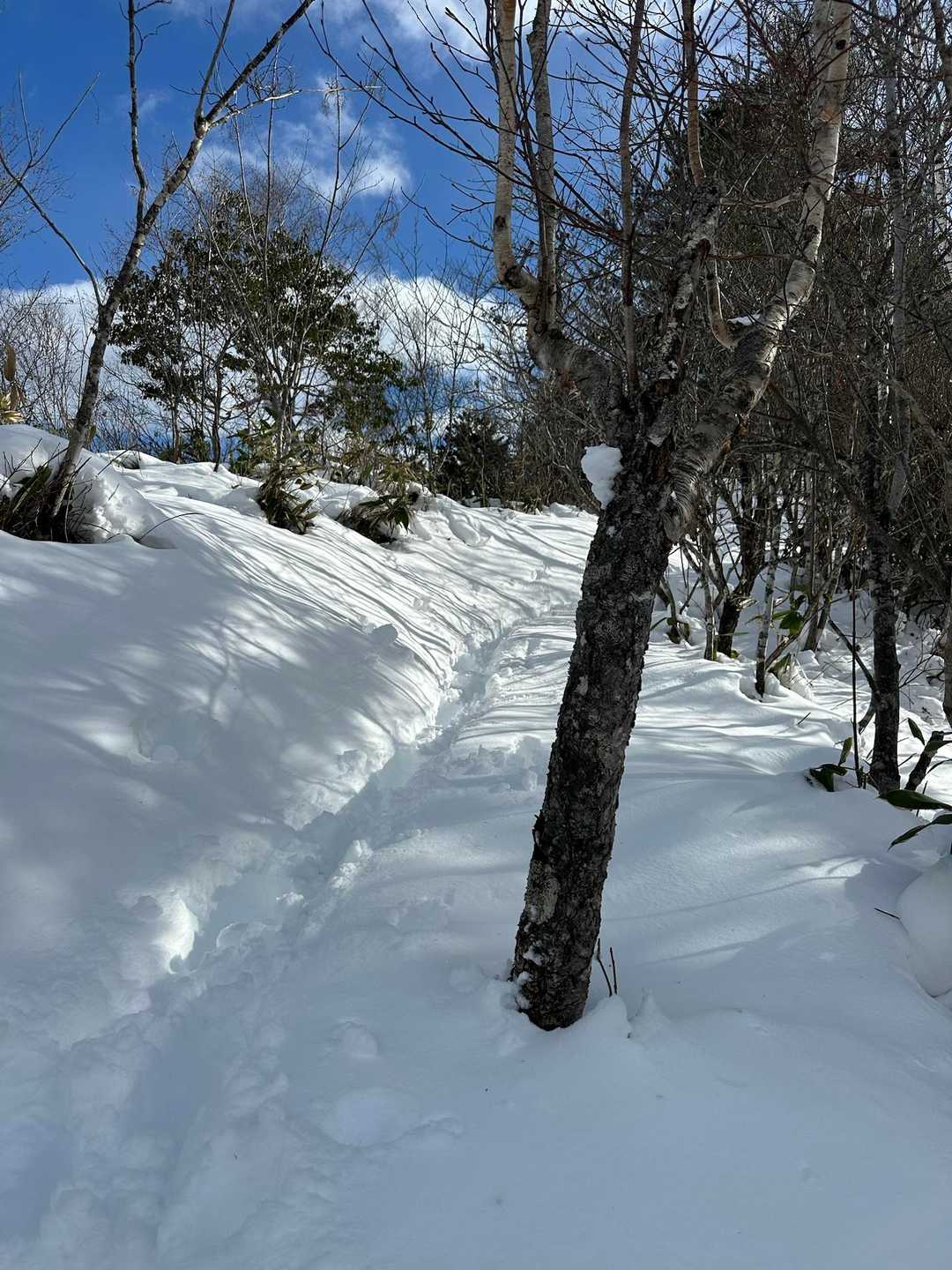 白沢登山口-鍬ノ峰白沢側登山口-鍬ノ峰 往復コースの写真