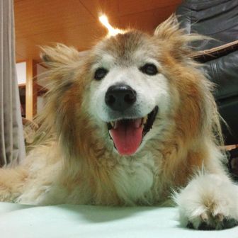 ユーザーマサ