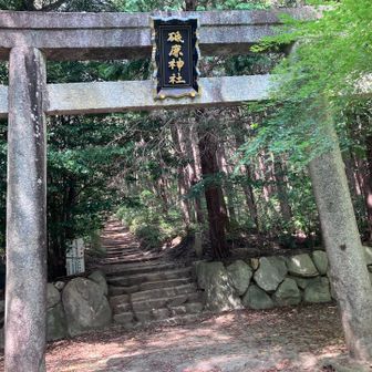 ただいま、無事下山しました。
疲れたー！