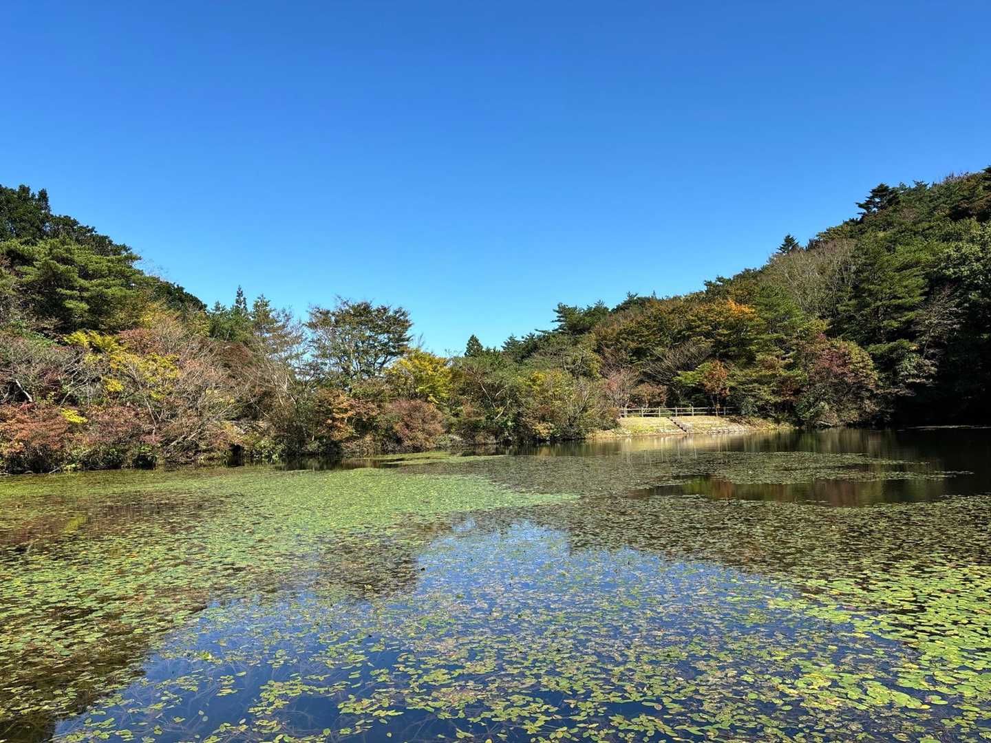 作礼山登山口-作礼山 往復コースの写真