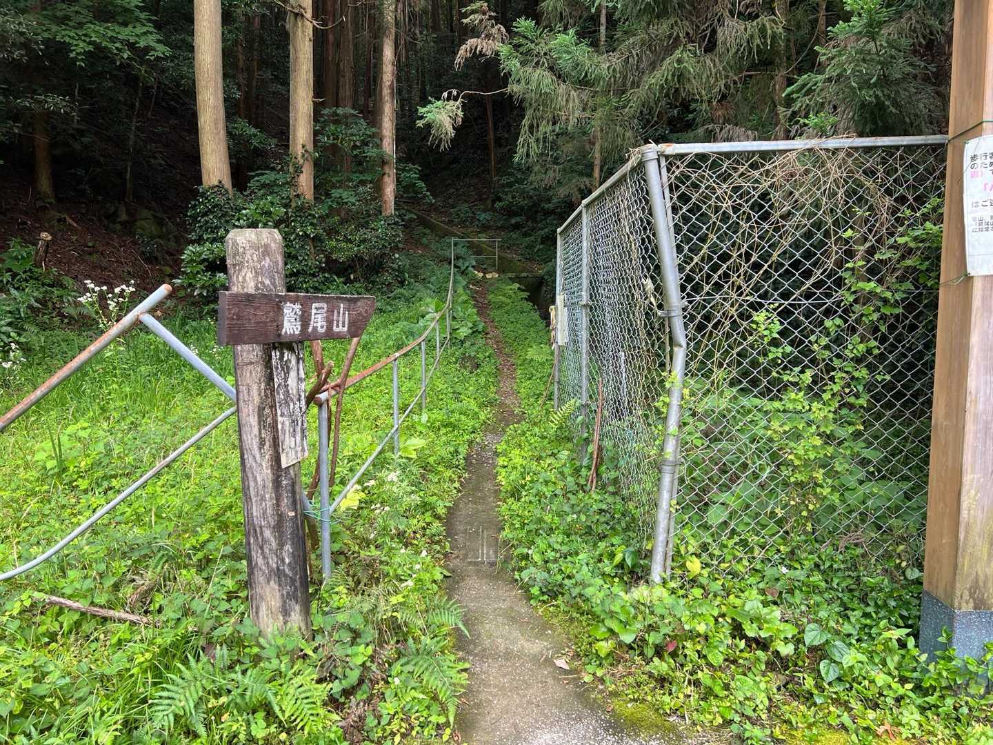 
鷲尾トンネル北口より

怪しい車が1台停まってるけど、行くしかない。
オバハンは強いのだ💪
