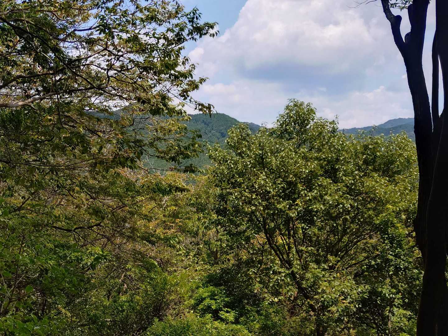 三国峠からの　眺望　Good
あの山は ？　