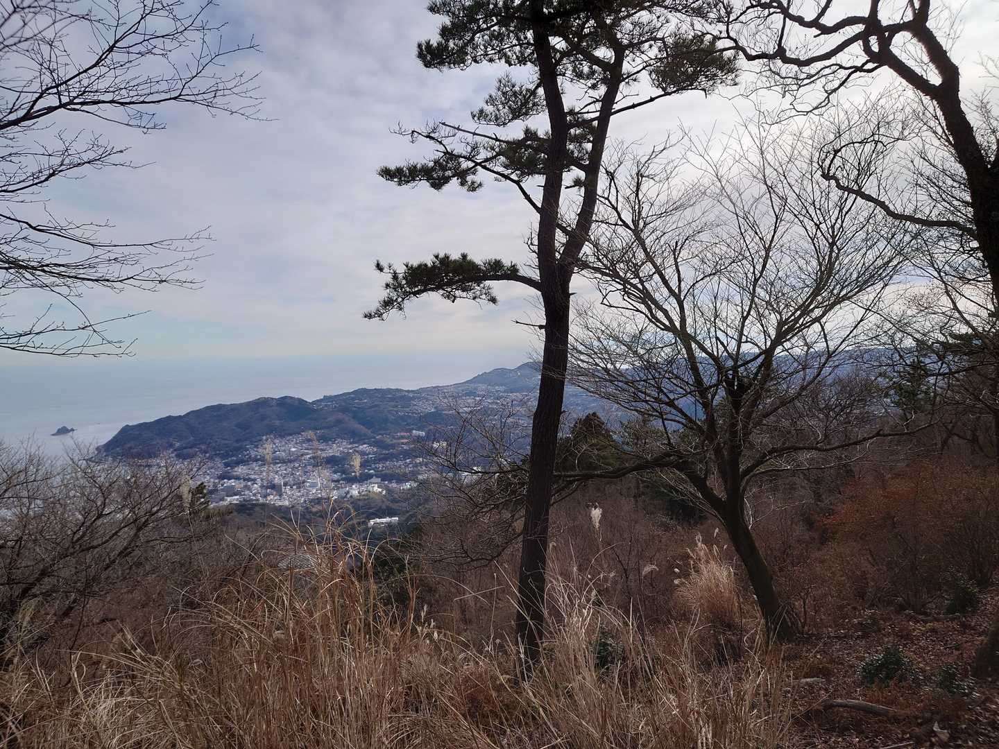 伊東の町並みと小さく見えるのが手石島。
うん十年前の海底噴火は手石島と初島の間が噴火しました。