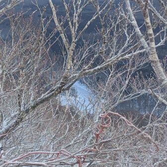 桑沼見えました