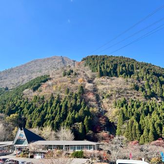 ドライブ🚗＆プチ登山⛰️
スカイブルーの鶴見岳🩵
家を出てから3時間🕑
ゆっくり出来なかったけど、塚原の里で美味しい地鶏を食べて大満足で帰路に着きました😊
ありがとうございました✨