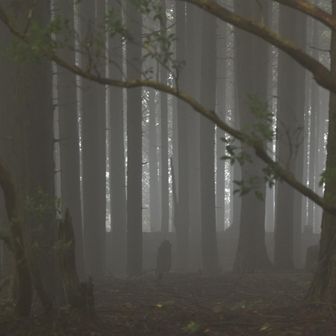 「ガスガスだったけど、それがかえって幻想的でした」というのは、とても美しいフレーズです。皆さんも使いこなしましょう。
決して負け惜しみではありませんからね。